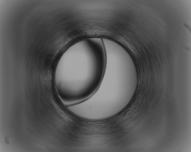 X0000091990448200709061224