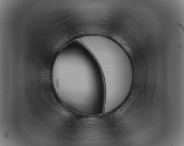 X0000091990449200709061224