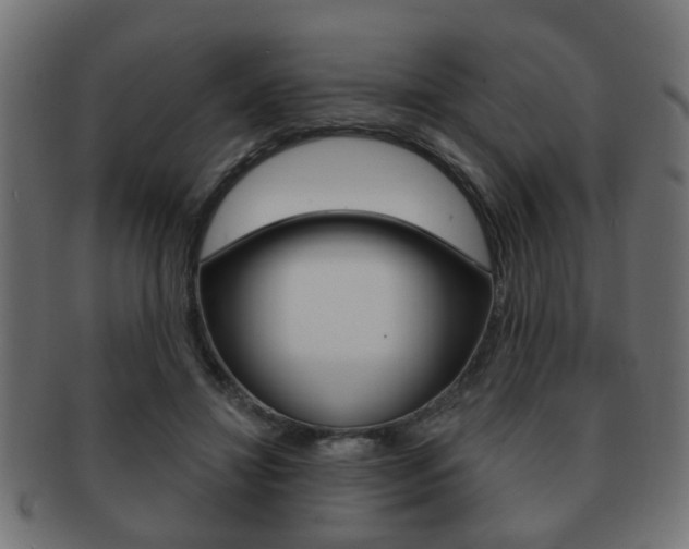 X0000091990452200709061224