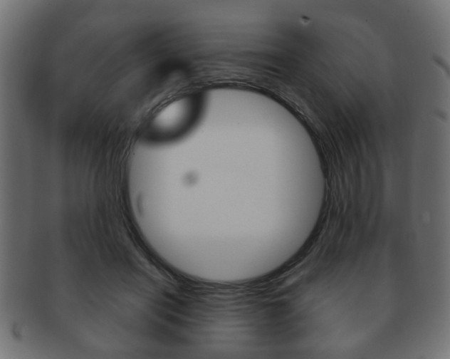 X0000091990454200709061224