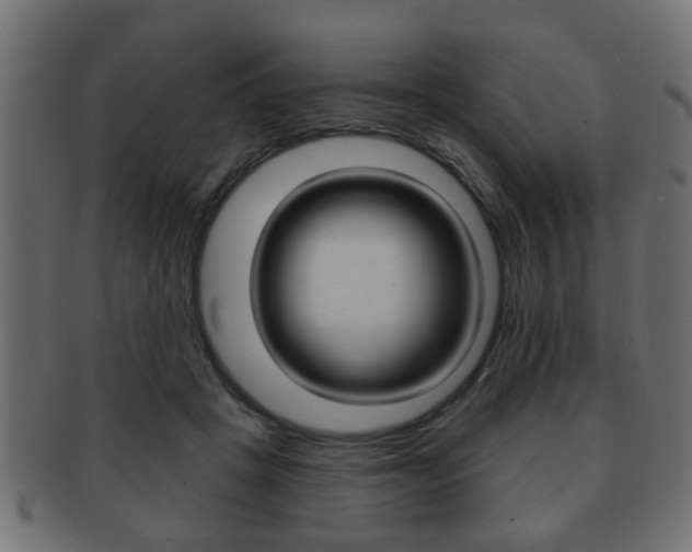 X0000091990457200709061224