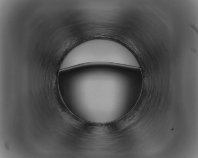X0000091990458200709061224