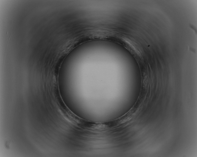 X0000091990459200709061224