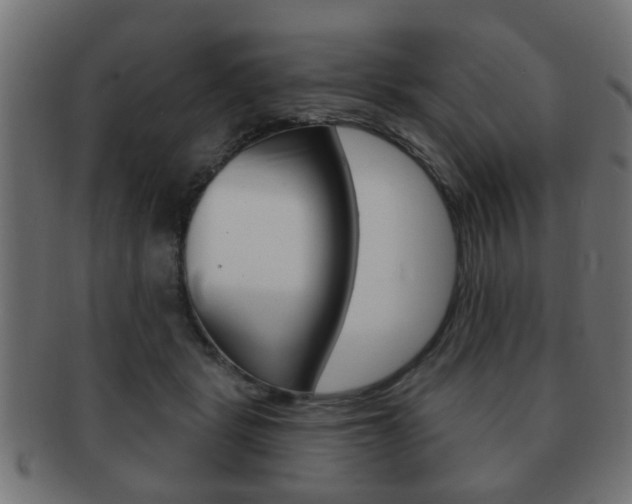 X0000091990461200709061224