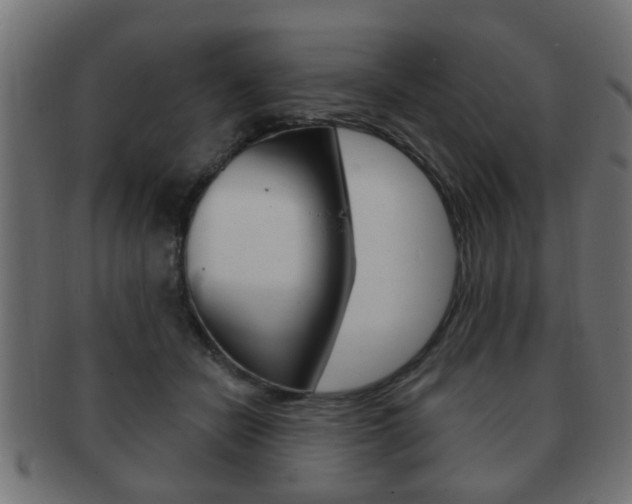 X0000091990462200709061224