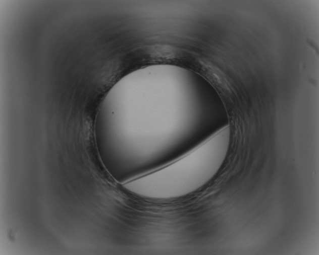 X0000091990463200709061224