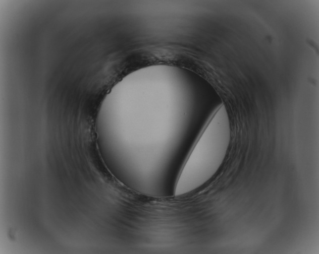 X0000091990464200709061224