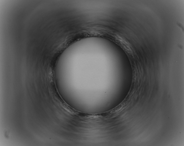 X0000091990465200709061224