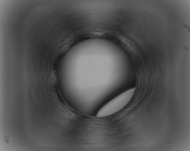 X0000091990467200709061224