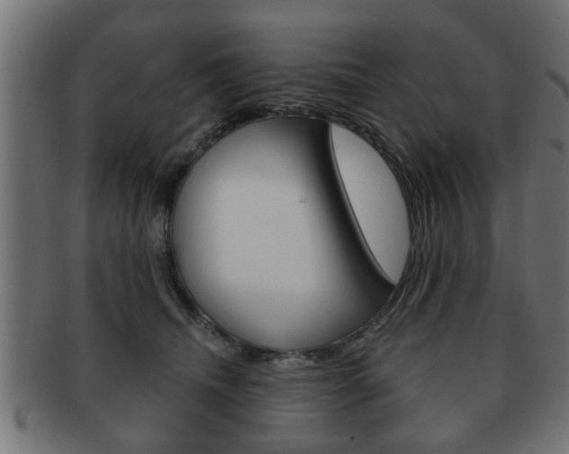 X0000091990468200709061224