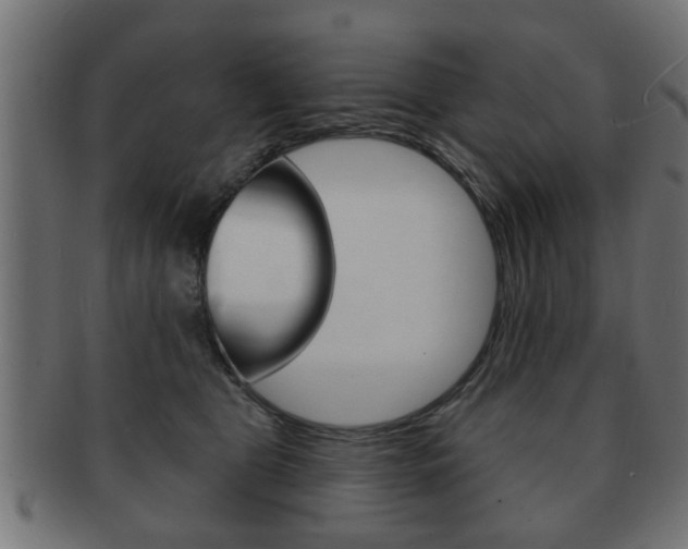 X0000091990469200709061224
