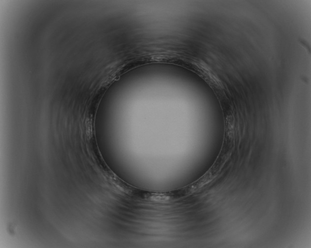 X0000091990471200709061224