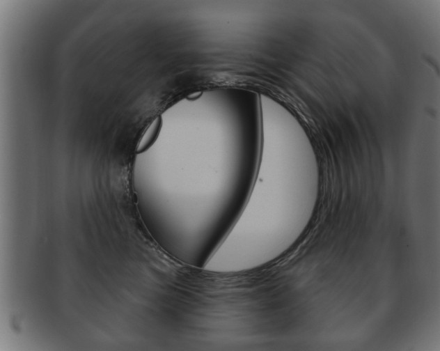 X0000091990473200709061224