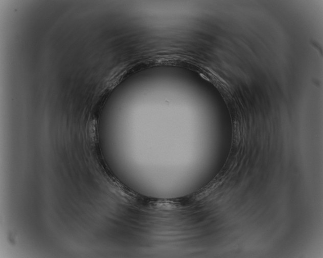 X0000091990475200709061224