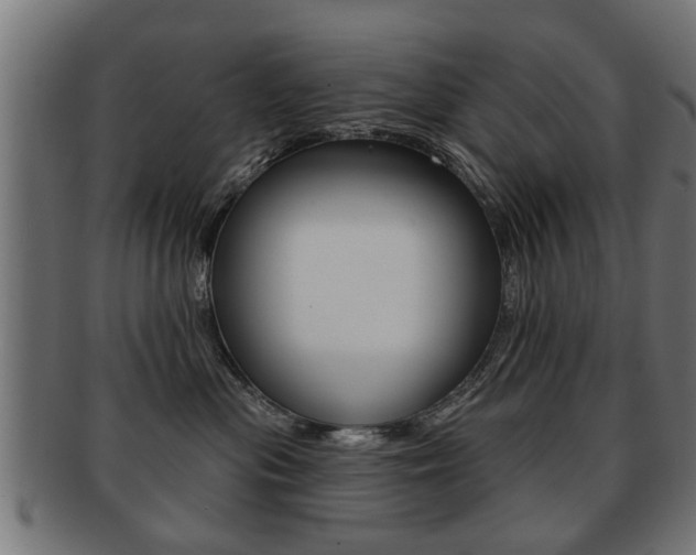 X0000091990477200709061224