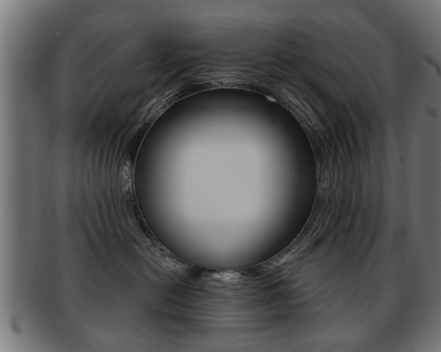 X0000091990478200709061224