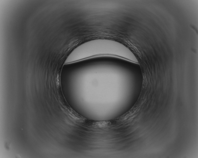 X0000091990479200709061224