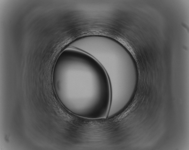 X0000091990481200709061224