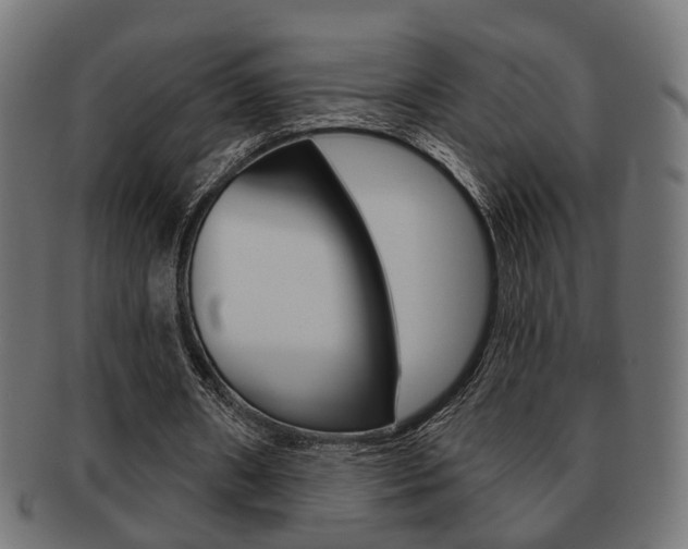 X0000091990482200709061224