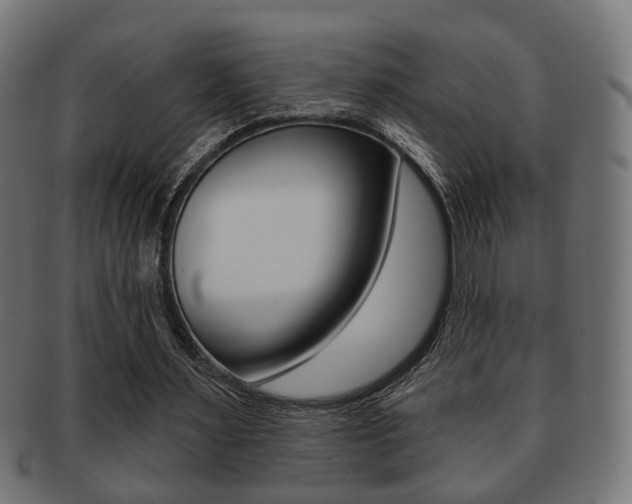 X0000091990483200709061224