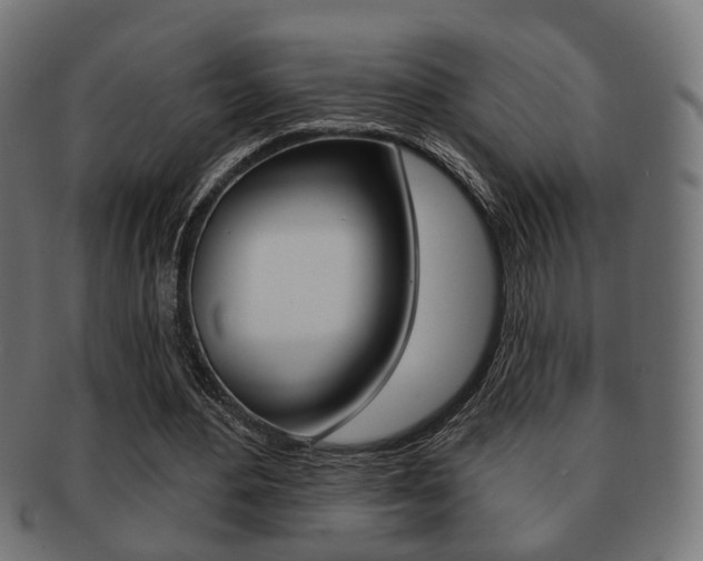 X0000091990484200709061224