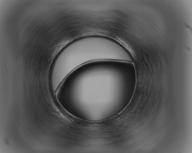 X0000091990485200709061224