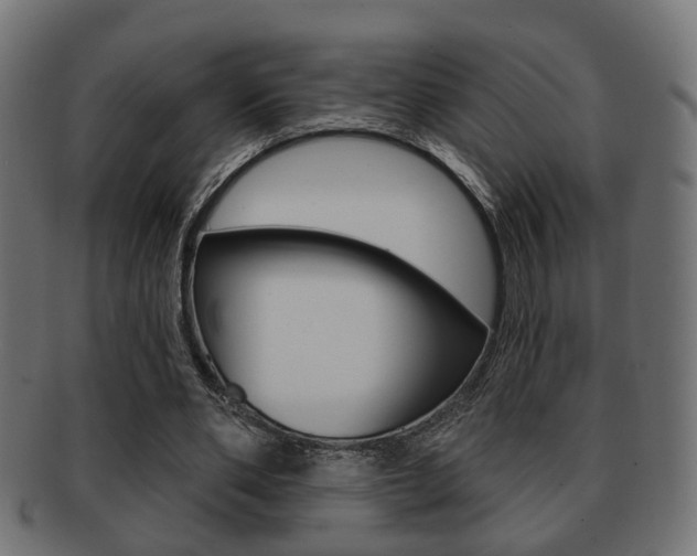 X0000091990486200709061224