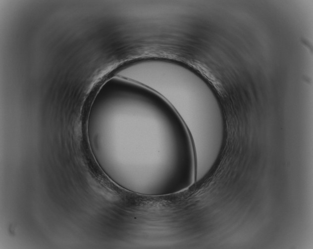 X0000091990488200709061224