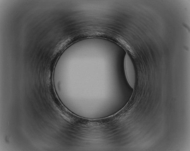 X0000091990490200709061224