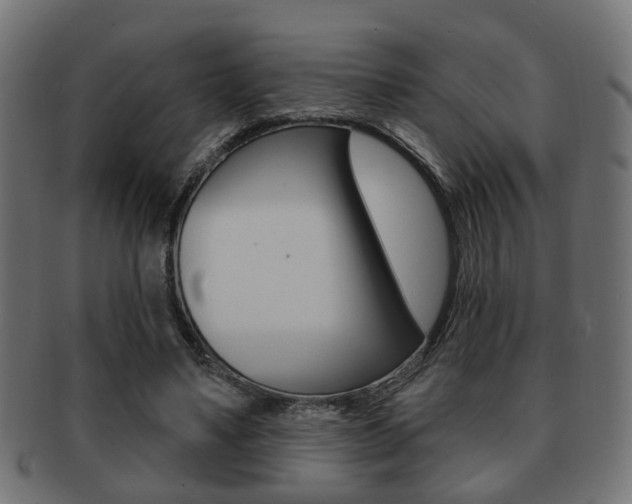 X0000091990491200709061224