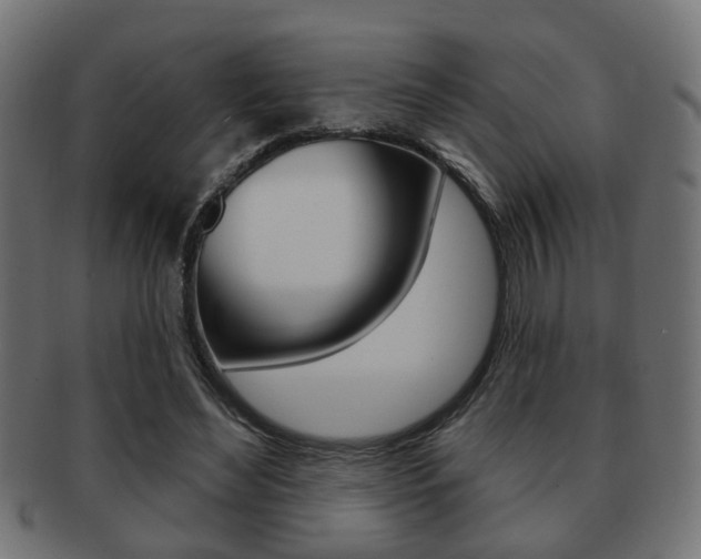 X0000091990492200709061224