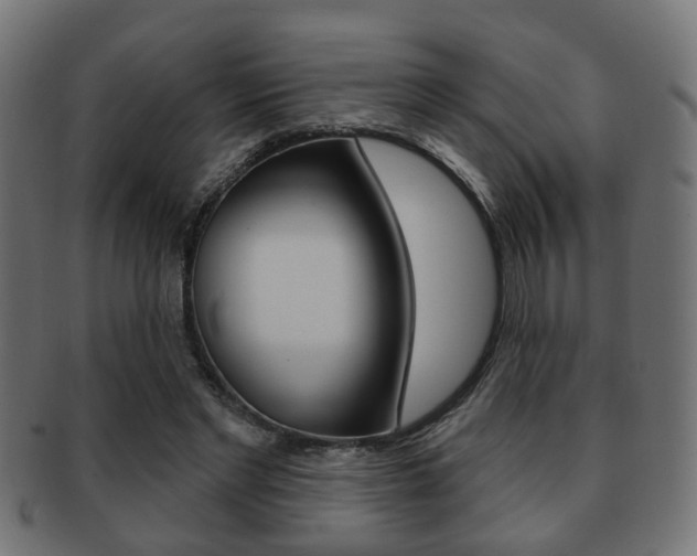 X0000091990493200709061224
