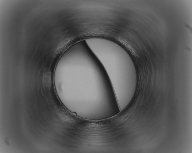 X0000091990494200709061224