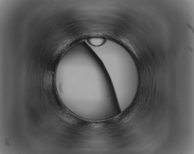 X0000091990495200709061224