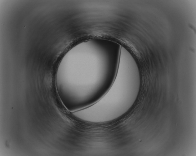 X0000091990496200709061223