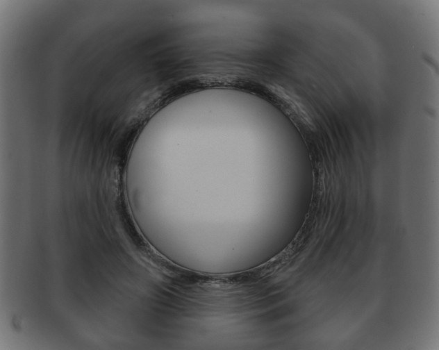 X0000091990498200709061223