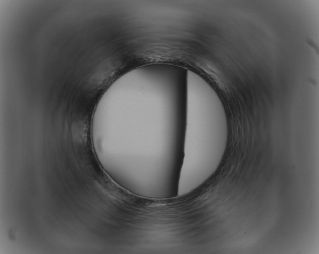 X0000091990499200709061223