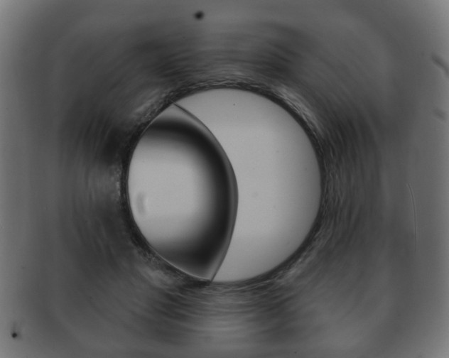 X0000091990501200709061223