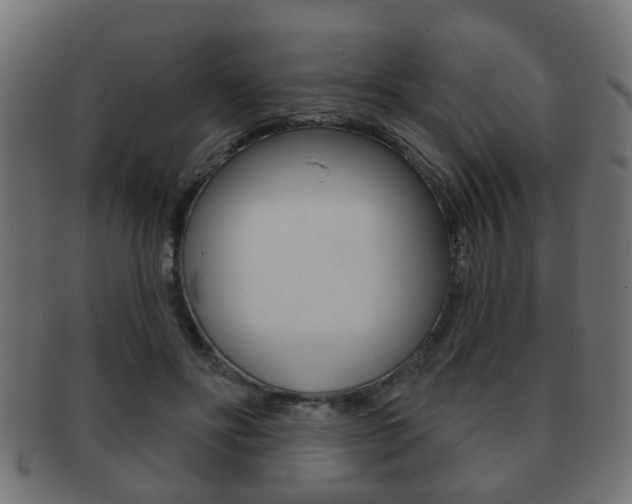 X0000091990502200709061223