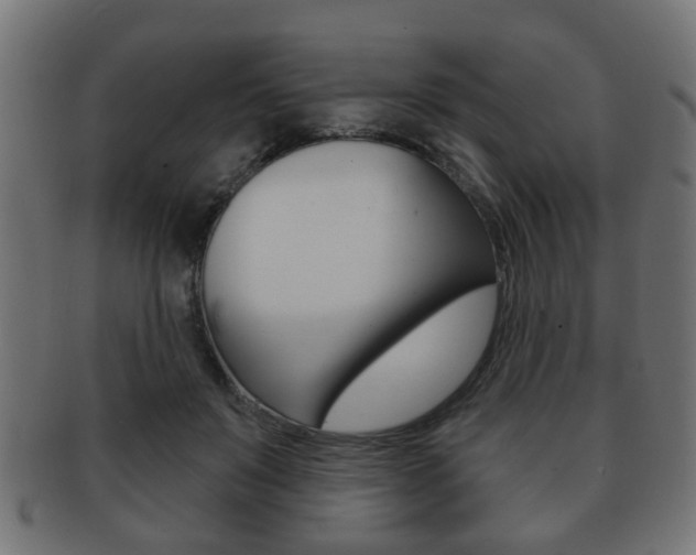 X0000091990503200709061223