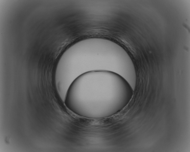 X0000091990504200709061223