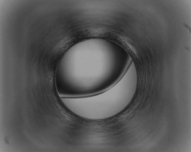 X0000091990505200709061223