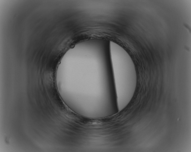 X0000091990506200709061223