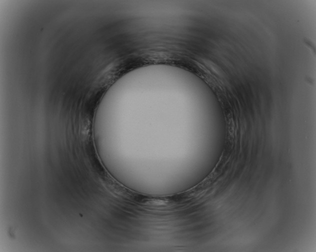 X0000091990507200709061223
