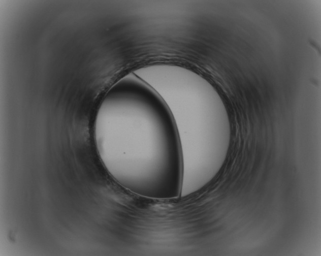X0000091990508200709061223