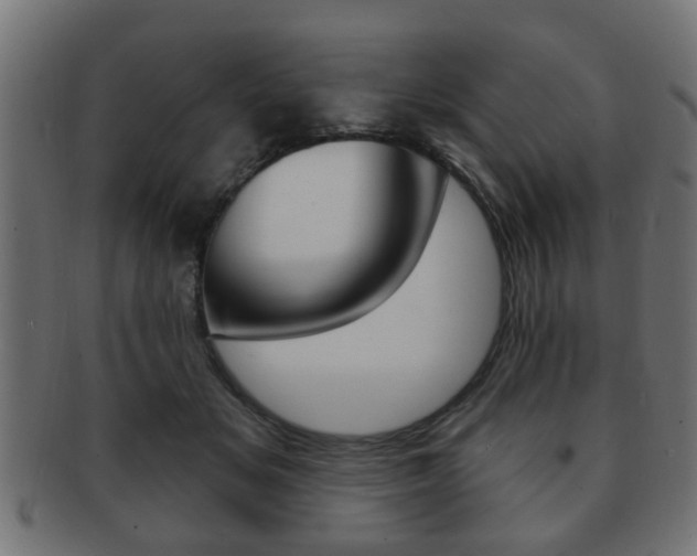 X0000091990509200709061223