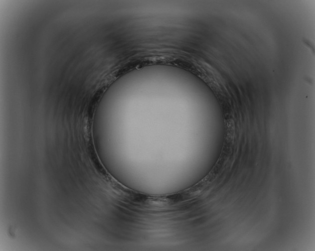 X0000091990510200709061223