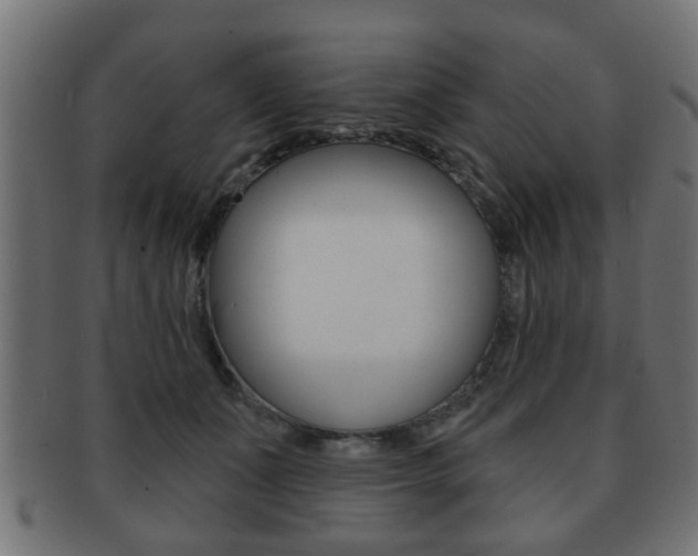 X0000091990511200709061223