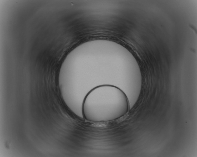X0000091990512200709061223