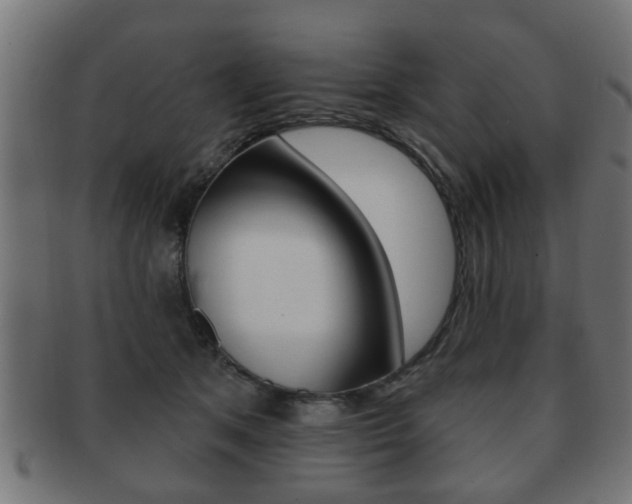 X0000091990513200709061223